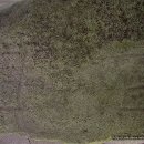 영천 보성리 암각화 이미지