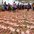 울진건어물 이미지