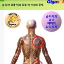 갈비뼈가 살짝 금이 가는 불상사~국가 시스템의 문제 이미지