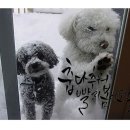 캘리그라피 실무 이미지