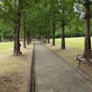 도심속의 평화 이미지