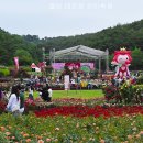 울산대공원 장미축제 이미지