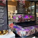 강릉한우만 이미지