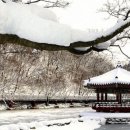 설화 - 노원구 상계로5길 12 | 설화