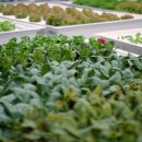 수행농장 이미지