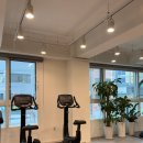 위너블 피티 앤 필라 이미지