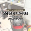 꽃뫼양지 | 화서동 싱크대 막힘 냄새 해결 후기 핵심 정리 원인부터 트랩 설치까지 완벽 해결