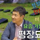 평장묘 총정리 (장점, 단점, 비용, 주의할 점 등) 이미지