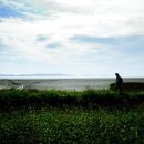 갯벌보러가는길 이미지