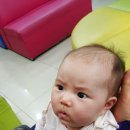 태희사