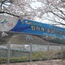 별빛촌 이미지