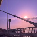 삼천포전통수산시장 | 삼천포전통수산시장 사돈상회에서 갑오징어 구매한 후기