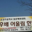 금강초등학교 이미지