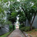 성곡초등학교1 이미지