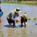 통일농민농장 이미지