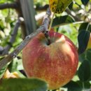 대봉농촌체험휴양마을 이미지