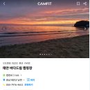 태안 바다 드림 캠핑장 서해안의 마검포 오토캠핑장...완벽한 2박 3일 카라반 캠핑 후기 애견 동반 가능
