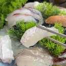 바다활어 이미지