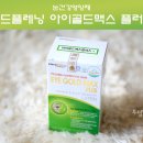 니드플레닝