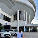 프리다이브나우