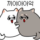 시지돈삼겹 이미지