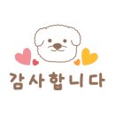 회동솔향캠핑장 이미지