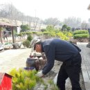 수림조경 이미지