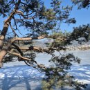 의림지-02 이미지