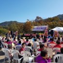 봉황섬터 이미지