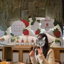 스팀 수영장 | [반얀트리] 디럭스풀 남산뷰 / 아이스링크,수영장,헬스장 꽉찬 호캉스 후기🤍