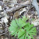 인비농장 이미지