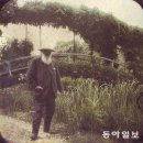 모네일