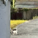 수정보건진료소 이미지