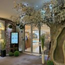 에그망고 스튜디오 이미지