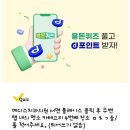 다름플라워스튜디오 이미지