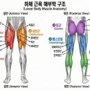유성PT 용쓰짐 헬스장 이미지