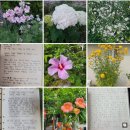 성인 독서회 | [2025년 성인독서회] 수업후기(feat. 병점도서관)