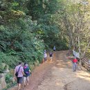 계족산 황톳길 이미지