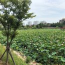 봉담119안전센터-2 이미지