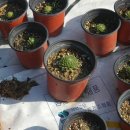 느티나무하우스 이미지