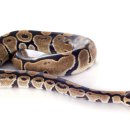 이스턴24시동물병원 이미지