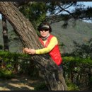 주암댐 전망대 이미지