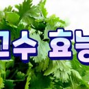 고*수