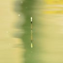 묵리낚시터 이미지