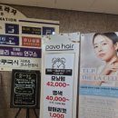 파보헤어 이미지