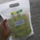 지혜샘유치원 이미지