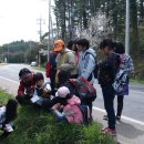 영평초등학교 이미지