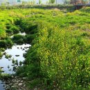 고바우산장 이미지