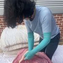 목화세탁소 이미지