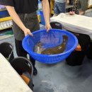 수산물직판장11호 | 내돈내산, 꿀팁, 전국에서가장싼곳, 메뉴, 가격, 웨이팅, 주차, 강추, 솔직후기, 인천횟집, 국내여행)